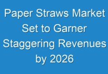Paper Straws Market Set to Garner Staggering Revenues by 2026