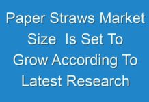 Paper Straws Market Size Is Set To Grow According To Latest Research 2019 – 2027
