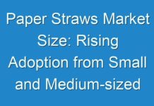 Paper Straws Market Size: Rising Adoption from Small and Medium-sized Enterprises to Fuel Growth 2019 – 2027