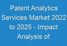 Patent Analytics Services Market 2024 to 2025 – Impact Analysis of COVID-19