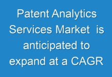 Patent Analytics Services Market is anticipated to expand at a CAGR of ~14% during the forecast period