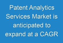 Patent Analytics Services Market is anticipated to expand at a CAGR of ~14% during the forecast period