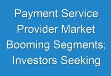 Payment Service Provider Market Booming Segments; Investors Seeking Growth 2024 -2030