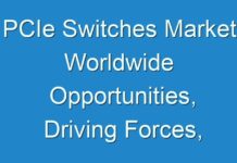 PCIe Switches Market Worldwide Opportunities, Driving Forces, COVID-19 Impact Analysis, Future Potential during Forecast Period 2019 – 2027