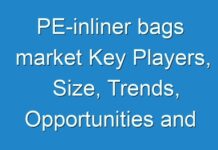 PE-inliner bags market Key Players, Size, Trends, Opportunities and growth Analysis