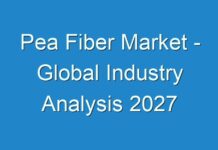 Pea Fiber Market – Global Industry Analysis 2027