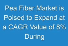 Pea Fiber Market is Poised to Expand at a CAGR Value of 8% During Forecast Period 2024 and 2030
