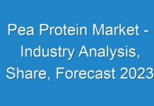 Pea Protein Market – Industry Analysis, Share, Forecast 2024