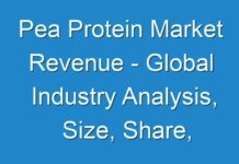 Pea Protein Market Revenue – Global Industry Analysis, Size, Share, Growth, Trends and Forecast 2016 – 2024