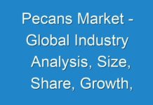 Pecans Market – Global Industry Analysis, Size, Share, Growth, Trends, and Forecast, 2024 – 2030