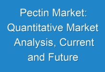 Pectin Market: Quantitative Market Analysis, Current and Future Trends 2028