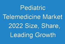 Pediatric Telemedicine Market 2024 Size, Share, Leading Growth Drivers, Emerging Audience