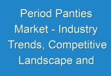 Period Panties Market – Industry Trends, Competitive Landscape and Forecast by 2026