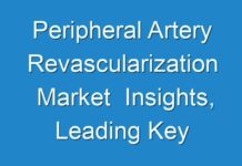 Peripheral Artery Revascularization Market Insights, Leading Key Players And Top Factors Driving 2018–2028
