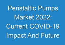 Peristaltic Pumps Market 2024: Current COVID-19 Impact And Future Market Landscape Analysis 2027