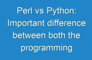 Perl vs Python: Important difference between programming language
