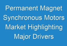 Permanent Magnet Synchronous Motors Market Highlighting Major Drivers and Key Trends 2024- 2030