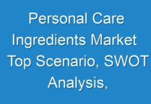 Personal Care Ingredients Market Top Scenario, SWOT Analysis, Business Overview & Forecast 2020 – 2030