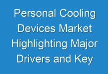Personal Cooling Devices Market Highlighting Major Drivers and Key Trends 2024
