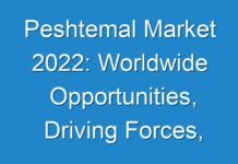 Peshtemal Market 2024: Worldwide Opportunities, Driving Forces, Future Potential 2027