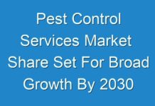 Pest Control Services Market Share Set For Broad Growth By 2030