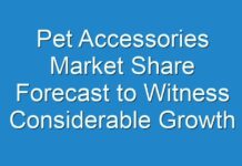 Pet Accessories Market Share Forecast to Witness Considerable Growth from 2018 To 2026