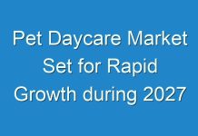 Pet Daycare Market Set for Rapid Growth during 2027