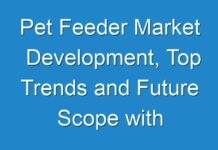 Pet Feeder Market Development, Top Trends and Future Scope with Upcoming Opportunities