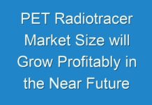 PET Radiotracer Market Size will Grow Profitably in the Near Future