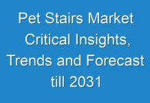 Pet Stairs Market Critical Insights, Trends and Forecast till 2031