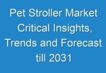 Pet Stroller Market Critical Insights, Trends and Forecast till 2031