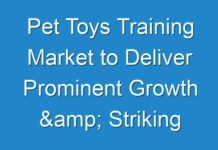 Pet Toys Training Market to Deliver Prominent Growth & Striking Opportunities Scenario Highlighting Major Drivers & Trends 2024-2026