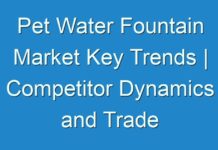Pet Water Fountain Market Key Trends | Competitor Dynamics and Trade Analysis Report, 2028