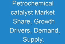 Petrochemical catalyst Market Share, Growth Drivers, Demand, Supply, Challenges, and Investment Opportunities by 2029