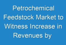 Petrochemical Feedstock Market to Witness Increase in Revenues by 2030