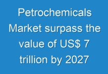 Petrochemicals Market surpass the value of US$ 7 trillion by 2027