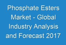Phosphate Esters Market – Global Industry Analysis and Forecast 2017 – 2025