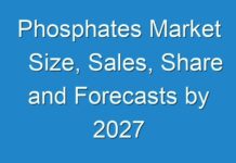 Phosphates Market Size, Sales, Share and Forecasts by 2027