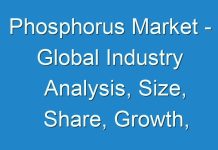 Phosphorus Market – Global Industry Analysis, Size, Share, Growth, Trends and Forecast 2016 – 2024