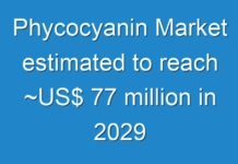 Phycocyanin Market estimated to reach ~US$ 77 million in 2029