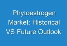 Phytoestrogen Market: Historical VS Future Outlook
