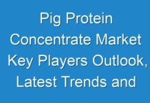 Pig Protein Concentrate Market Key Players Outlook, Latest Trends and Forecast up to 2028