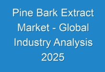 Pine Bark Extract Market – Global Industry Analysis 2025