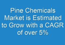 Pine Chemicals Market is Estimated to Grow with a CAGR of over 5% During Forecast Period 2019-2027
