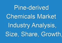 Pine-derived Chemicals Market Industry Analysis, Size, Share, Growth, Trends, And Forecast 2026