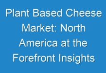 Plant Based Cheese Market: North America at the Forefront Insights 2019 to 2027