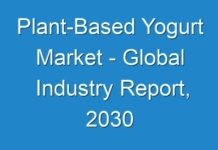 Plant-Based Yogurt Market – Global Industry Report, 2030