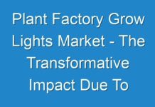 Plant Factory Grow Lights Market – The Transformative Impact Due To COVID-19