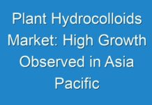 Plant Hydrocolloids Market: High Growth Observed in Asia Pacific Forecast 2019 to 2029