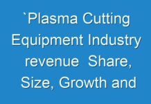 `Plasma Cutting Equipment Industry revenue Share, Size, Growth and Forecast Illuminated By New Report 2024 – 2030